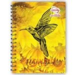 Cuadernos - Imagen 4